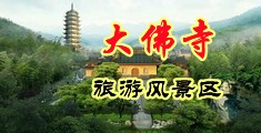 久久大鸡吧中国浙江-新昌大佛寺旅游风景区